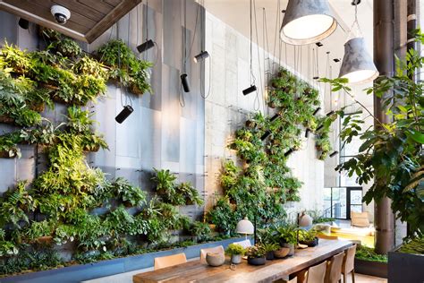 Living Green Walls 101 Their Benefits And How Theyre Made Happy Eco News