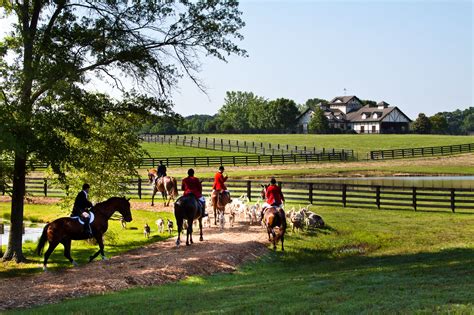 Pin by Georgia Farm and Ranch on Georgia Farm and Ranch | Equestrian