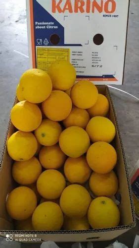 A Grade Maharashtra Fresh Oranges At Best Price In Bhavnagar Id