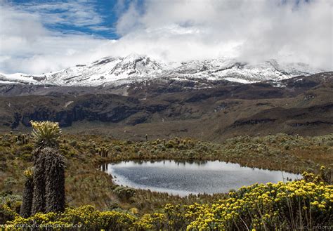 Tour Nevado Del Ruíz Y Termales Del Otoño 1 Día, Eje Cafetero