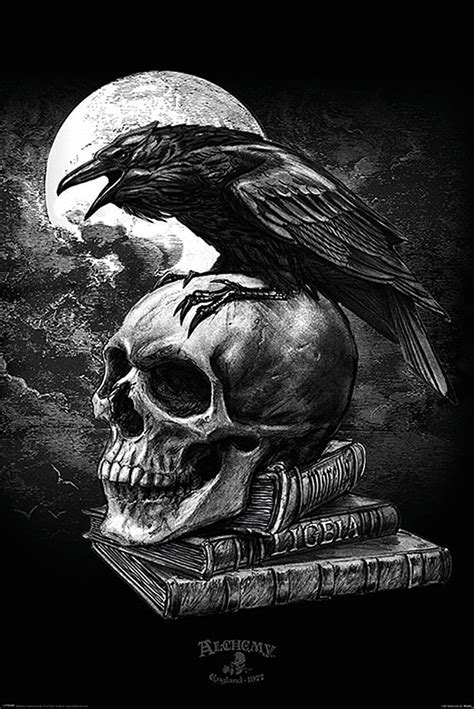 Alchemy Poster Poes Raven in Dark art tattoo Alchemy gothic art Gothic HD 전화 배경 화면 Pxfuel