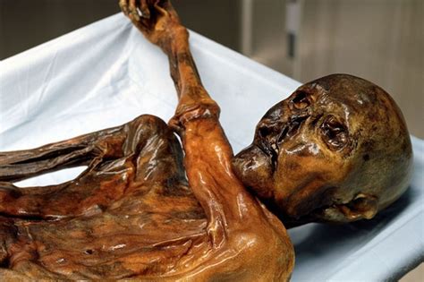 13 Terrifying Cursed Objects You Wont Believe Actually Exist Inyminy