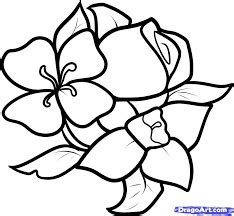 Pin by amy on risuy | Easy flower drawings, Flower sketches, Flower drawing
