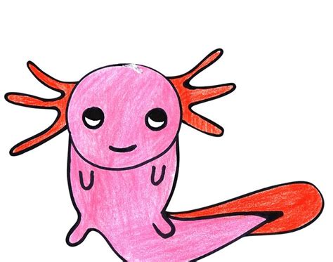 Easy Step Axolotl Drawing How To Draw An Axolotl Step By Step Easy