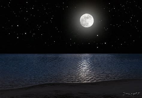 Ocean  Moon Sea S Tarot Cards Good Night Island The