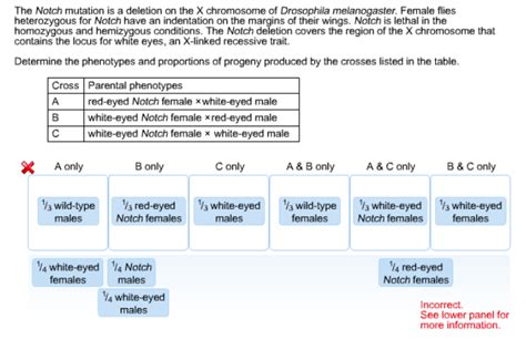 When a recessive trait is on the x chromosome: Can A Recessive Trait Be On The Y Chromosome - Patterns of ...