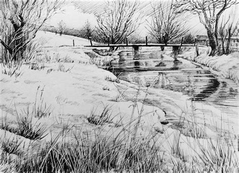 Trees In The Landscape Pen And Ink Glyn Overton Landscape Sketch