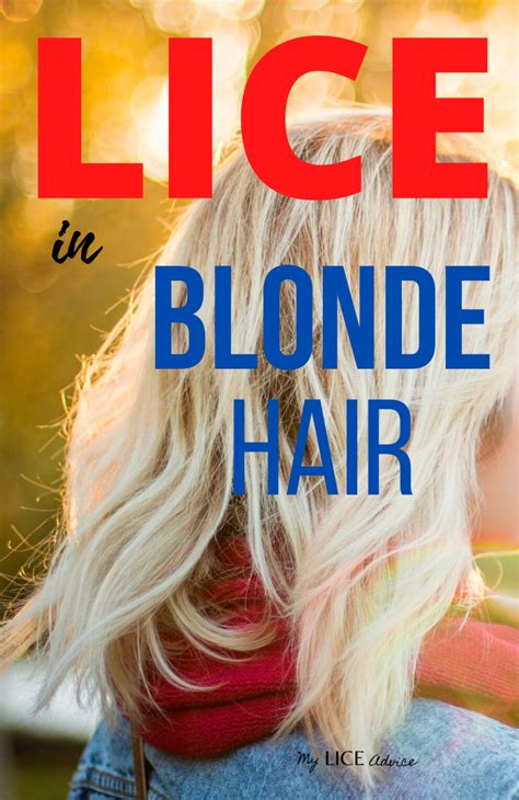 Head Lice Pictures In Blonde Hair