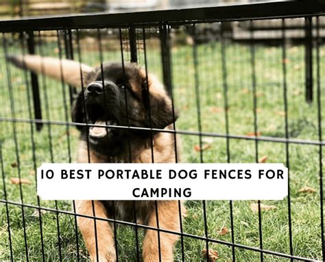Best Portable Dog Fence For Camping Top 10 Picks We Love Doodles