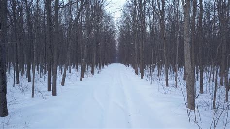 Aerial View On Snow Covered Road In The Forest Scenic Winter Landscape