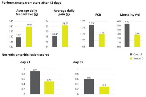 Category Feed Conversion EW Nutrition