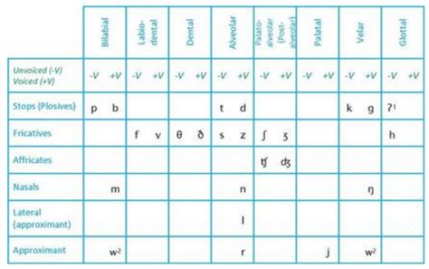 Gallery Of How To Remember The Ipa Consonant Chart Phonetic Alphabet