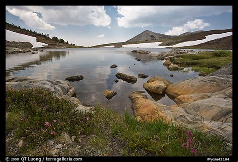 Picturephoto High Alpine Basin With Gaylor Lake Yosemite National Park