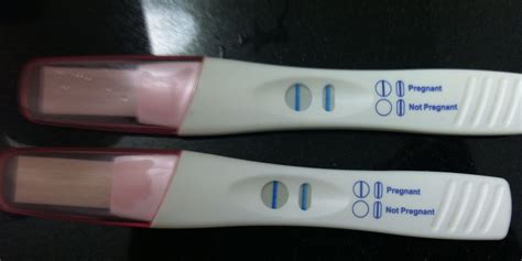 How Do Pregnancy Tests Work Images And Photos Finder