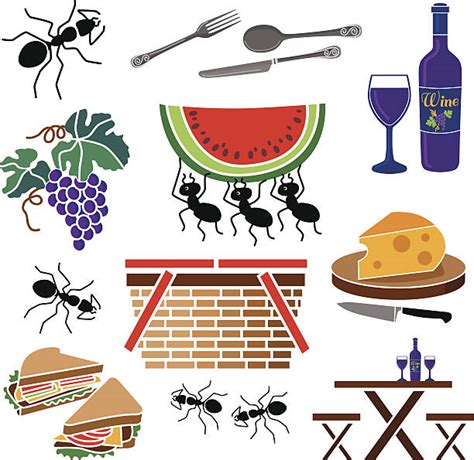 350 Ants At A Picnic Stock Photos Pictures And Royalty Free Images Istock