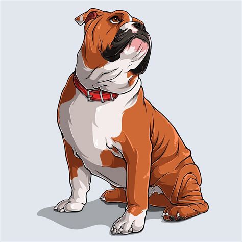 Cute Brown English Bulldog Dog Sitting Isolated 2223254 Vector Art At