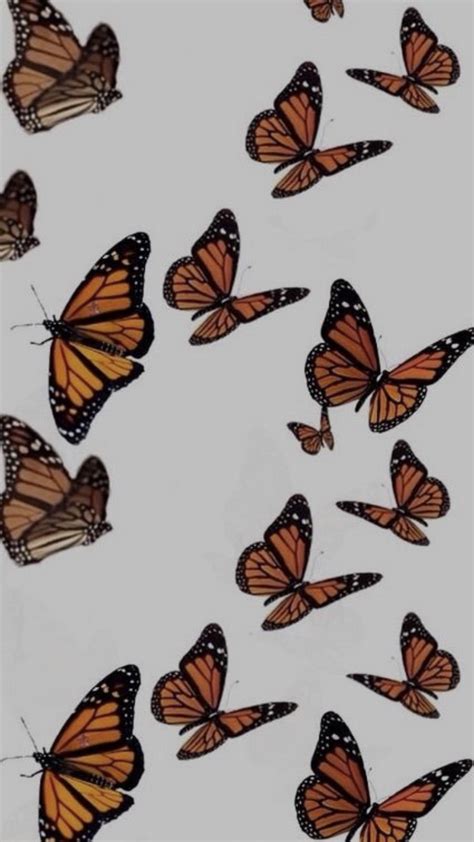 Wallpaper Butterfly Wallpaper Iphone Aesthetic Iphone Wallpaper