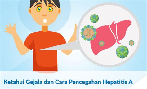 Ketahui Gejala Dan Cara Pencegahan Hepatitis A Pb Pegi