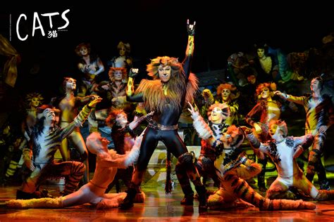 Complete original broadway cast recording. Buy Cats the Musical Stage Tickets Beijing