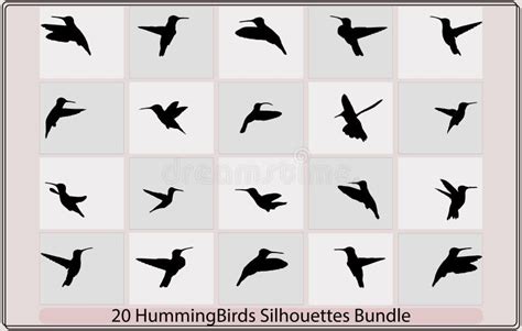Hummingbird Silhouettes Stock Illustrations 311 Hummingbird