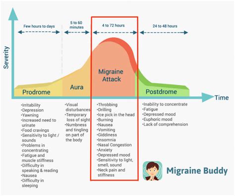 The Stages Of A Migraine Migraine Attack Migraine Buddy