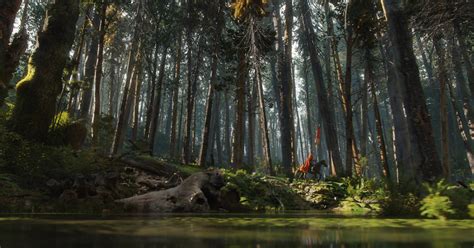 A Stunning Forest Scene Made In Blender