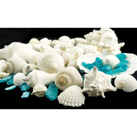 White Decorative Sea Shell With Pearlized Ocean Blue Sea Glass Chips 1 Pound For Decoration