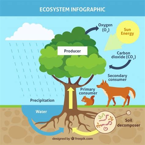Infographic Ecosystem Concept With Tree Premium Vector Freepik