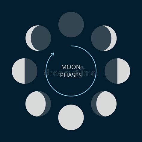 Moon Phases Icons Stock Vector Illustration Of Orbit 170905994