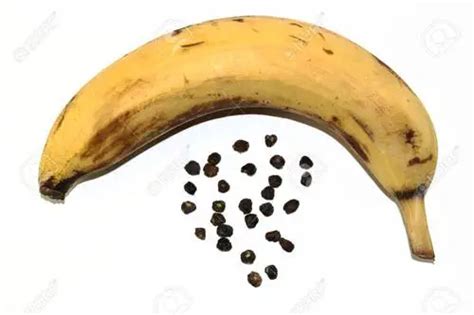 Do Bananas Have Seeds Best Electric Skillet Guide