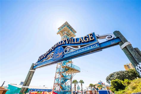 Unleash Your Inner Explorer: Fun Activities for Adults | Paraiso Island