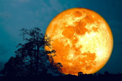 The Super Sturgeon Moon Tonights Full Moon Will Look Huge In The
