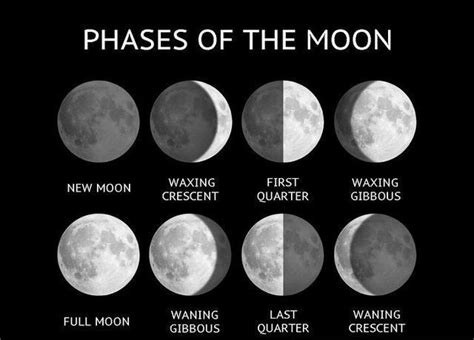 Moon Phase Today Feelings 2024 Best Perfect The Best Incredible Lunar
