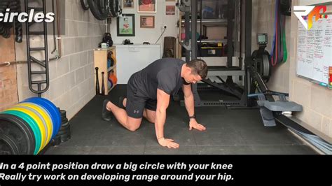 4 Point Hip Circles Youtube