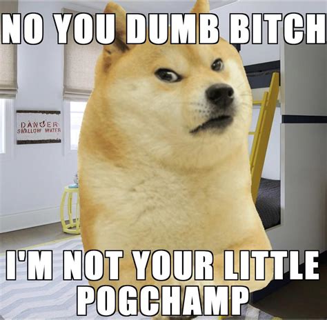 Le Ugh Fine I Guess You Are My Little Pogchamp Has Arrived Rdogelore