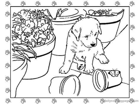 Golden Retriever Puppy Coloring Pages Printable Coloring Home