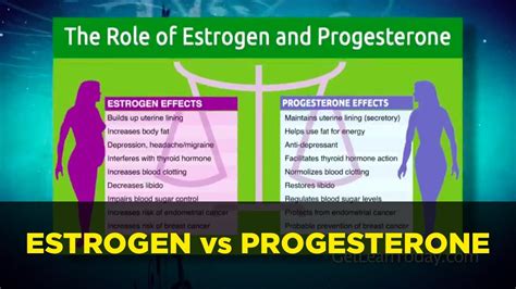 Estrogen Vs Progesterone Hormonal Dominance Control Low Hormones