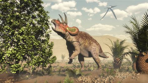 Schauen Sie Vorbei Um Es Zu Wissen Konvergieren Dialekt Dinosaurios