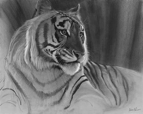 Charcoal Drawings Of Animals