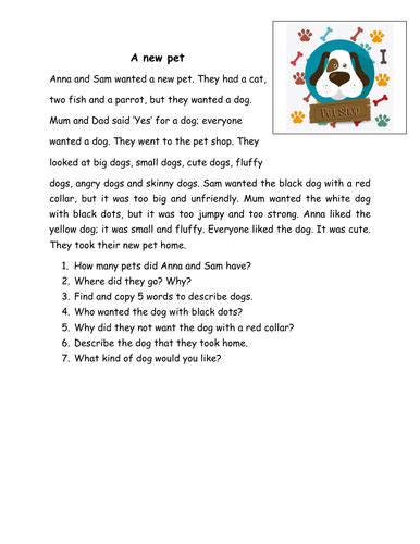 Super Simple Reading Comprehension Teaching Resources
