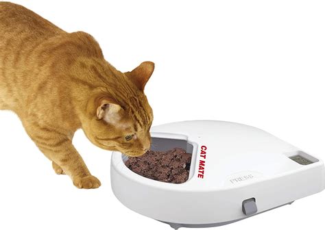 If they get along well, eating from. Top 5 Best Automatic Cat Feeder For Wet Food in 2020 ...