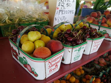 Its Fruit Harvest Season In Niagara Falls Check Out Our New Blog Bgniagaratours