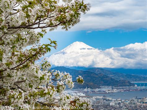 2019 Cherry Blossom Photo Tour Mt Fuji Japan Photo Guide