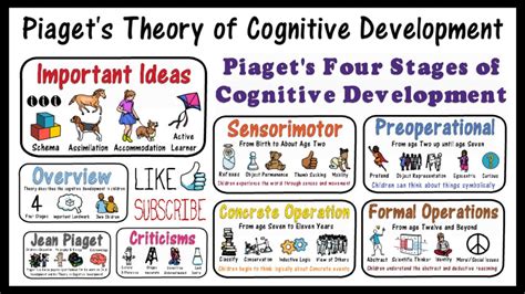 Piaget S Theory Of Cognitive Development The Definitive Guide Lupon