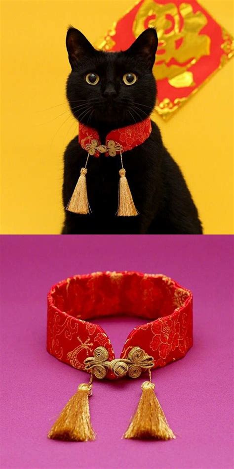 Cat Collars Diy Fancy Cat Collar Puppy Clothes Cat Clothes Fancy