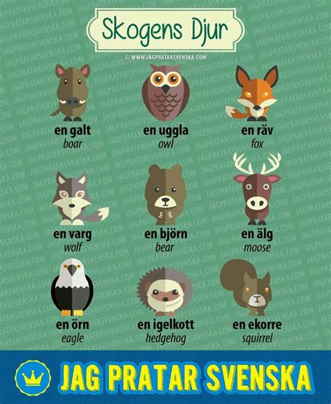 Swedish animals Sweden Language, Norway Language, Learn Swedish