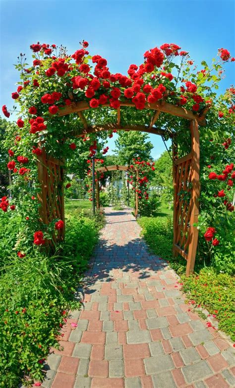 30 Beautiful Rose Garden Ideas For Your Backyard Most Beautiful