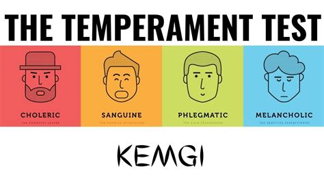 Temperament test- personality quiz - YouTube