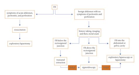A Simplified Management Algorithm For Rectal Foreign Bodies Fb Download Scientific Diagram