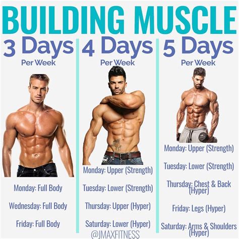 Muscle Expert Jason Maxwell Jmaxfitness On Instagram BUILDING MUSCLE By Jmaxfitness